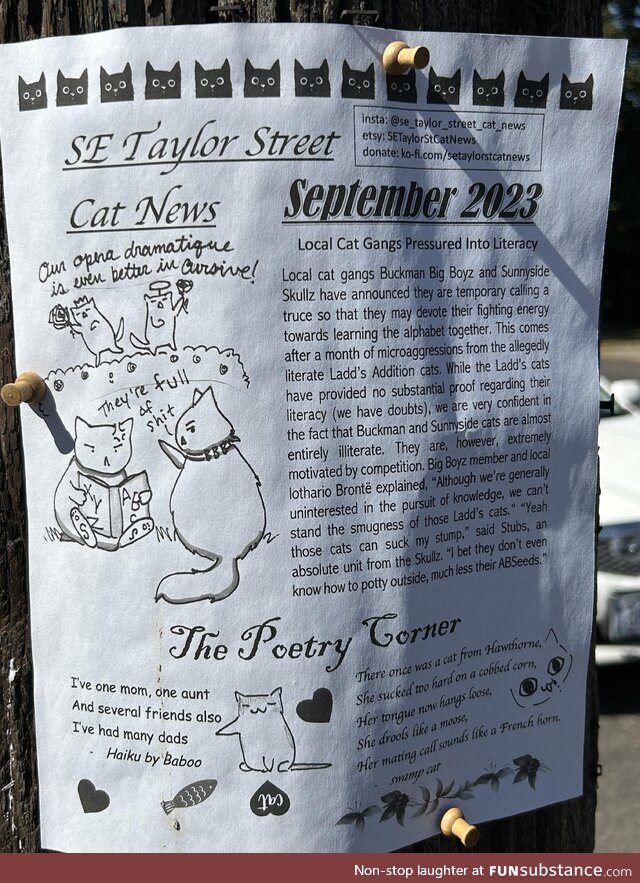 Someone in my neighborhood posts a monthly cat flier. Here is the one for September