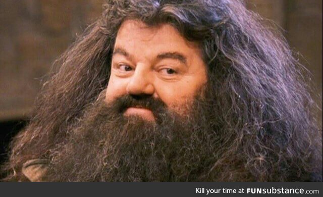 Goodbye hagrid