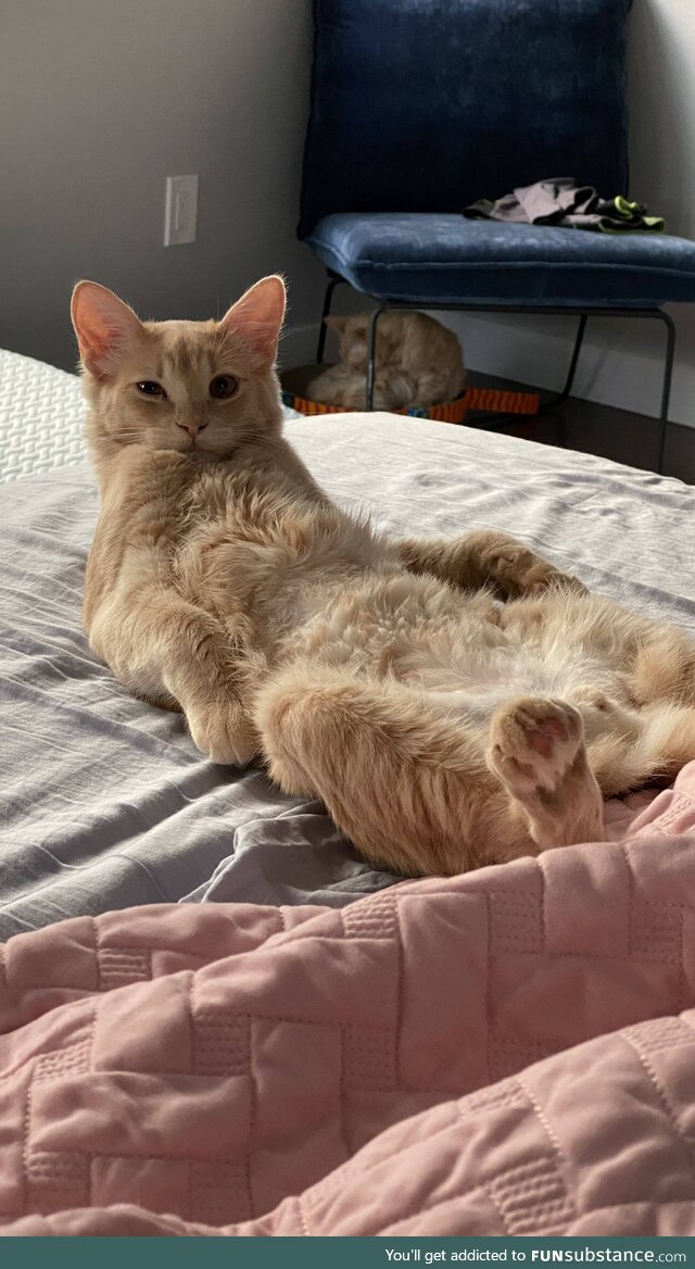 What are you looking at?