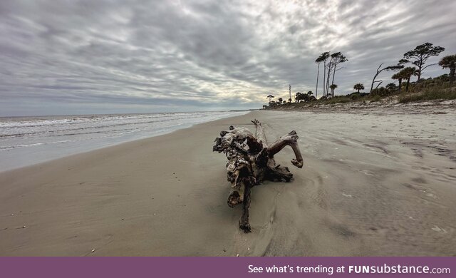 Quiet Beach on Hunting Island in South Carolina. A preserved state park with no homes