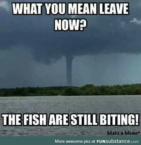 Bouncy comparable new