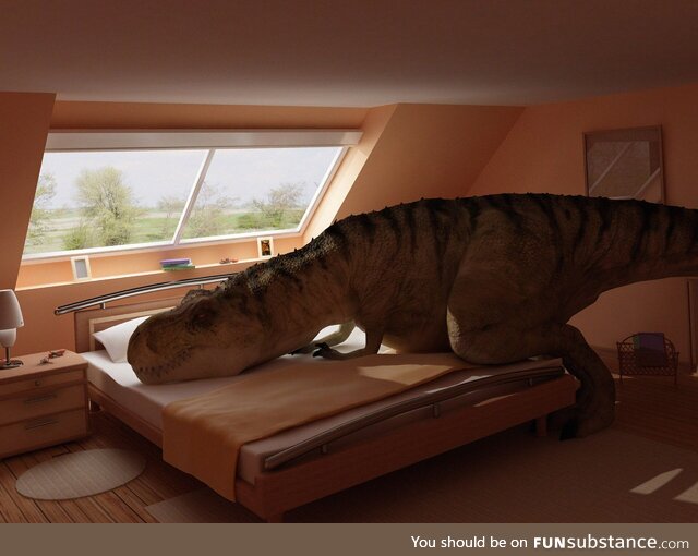 T-Rex on a bed. Yup