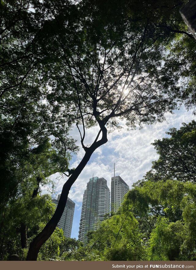 Nature as a relaxation