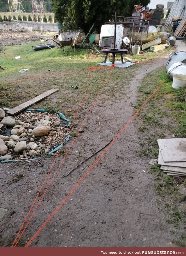 Dog found ball of red string and started running around house