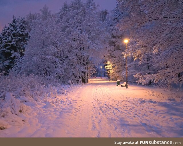 Winter morning in Espoo, Finland [OC]