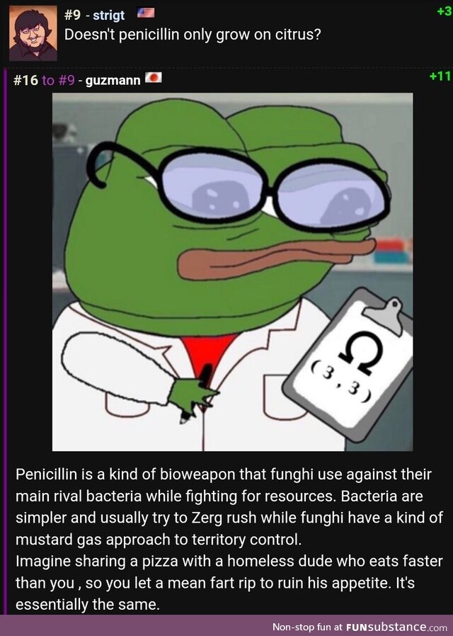 On penicillin