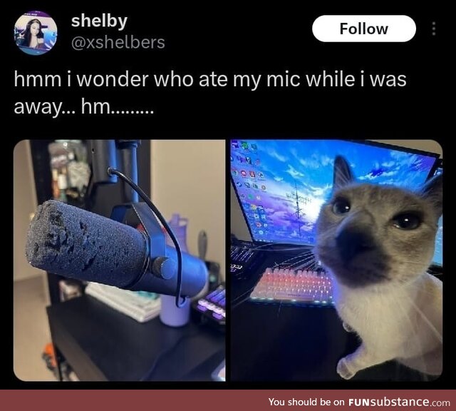 Who could it be