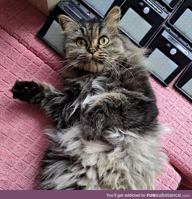 Mr Green just woke up