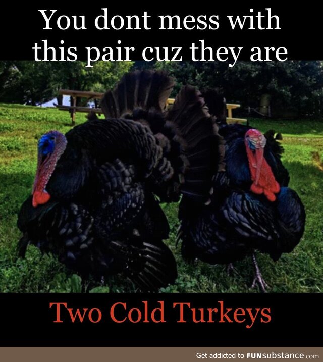 You don’t wanna run into these two on Nov 26