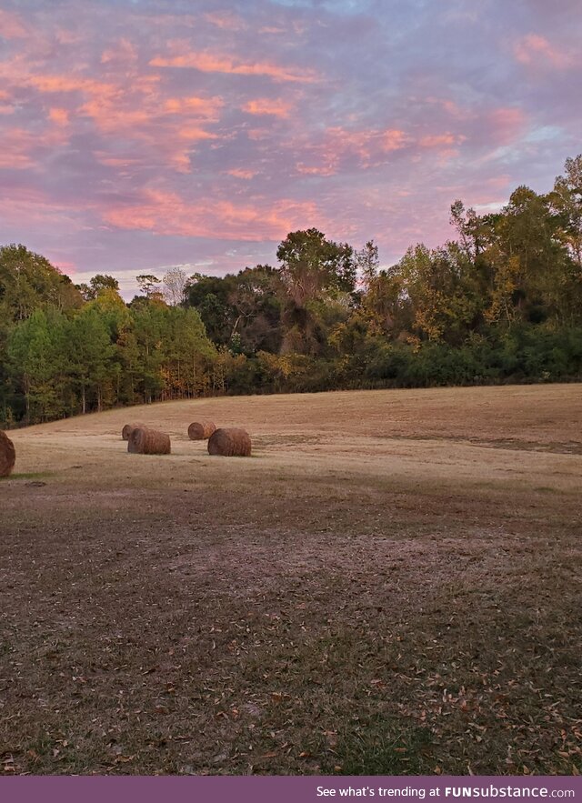 Pasture in Louisiana