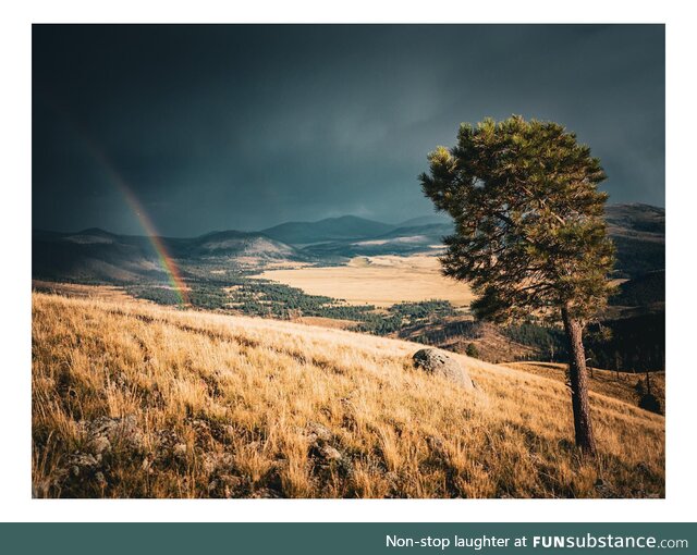 Valles caldera, new mexico, usa
