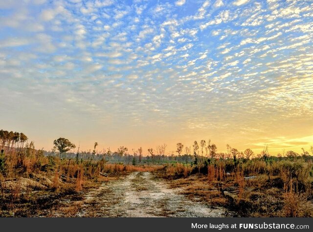 An ancient sea floor out in the middle of the carolinas