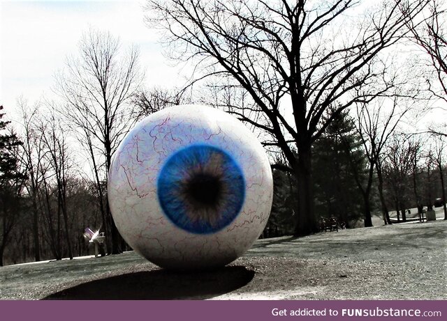 "Eye" Laumeier sculpture park, MO