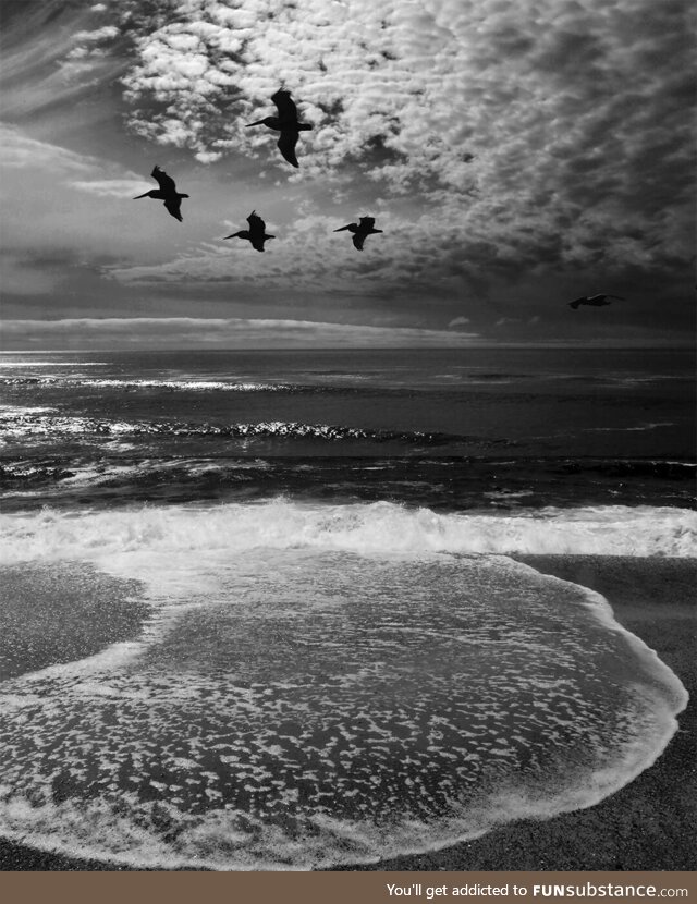 This is a picture of pelicans flying over the waves, a visual poem