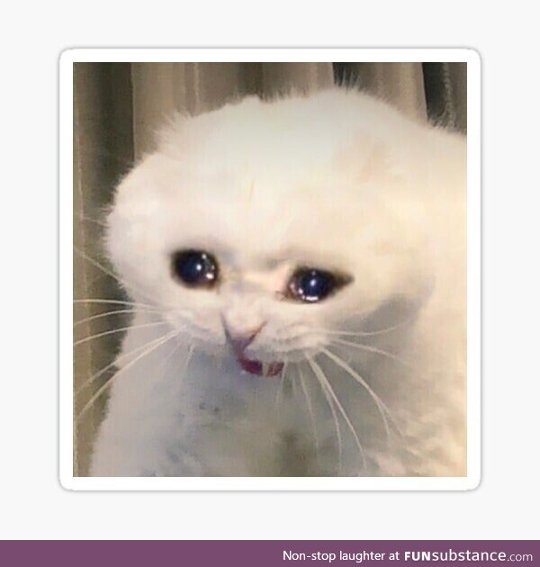 Theives and scammers