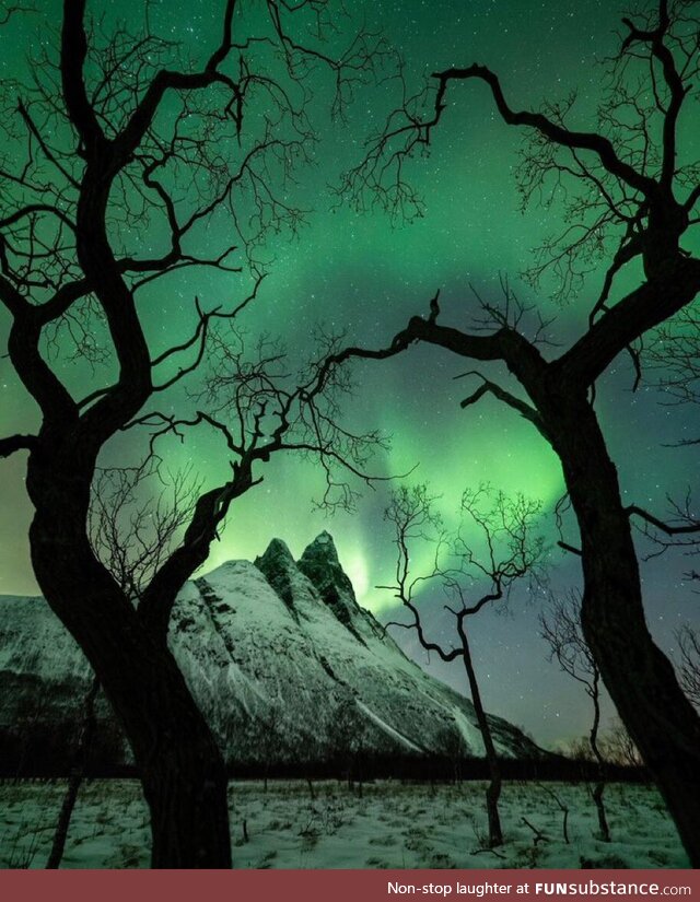 Mesmerizing Northern Lights in Norway