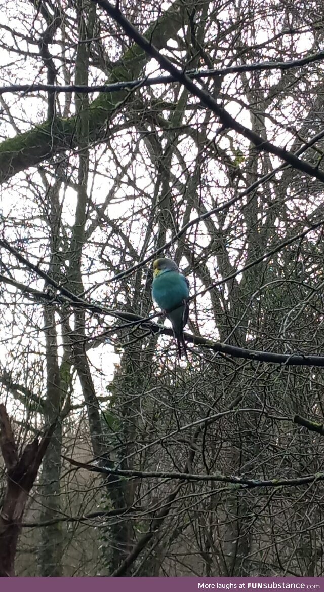 Found this little beaut on a walk today in Ireland