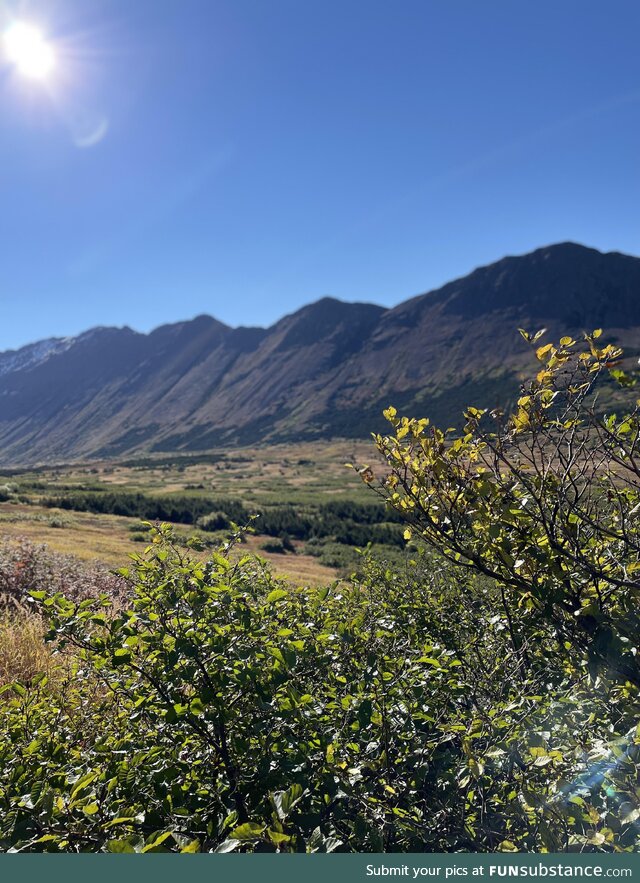 Hiking in Anchorage, Alaska (2)