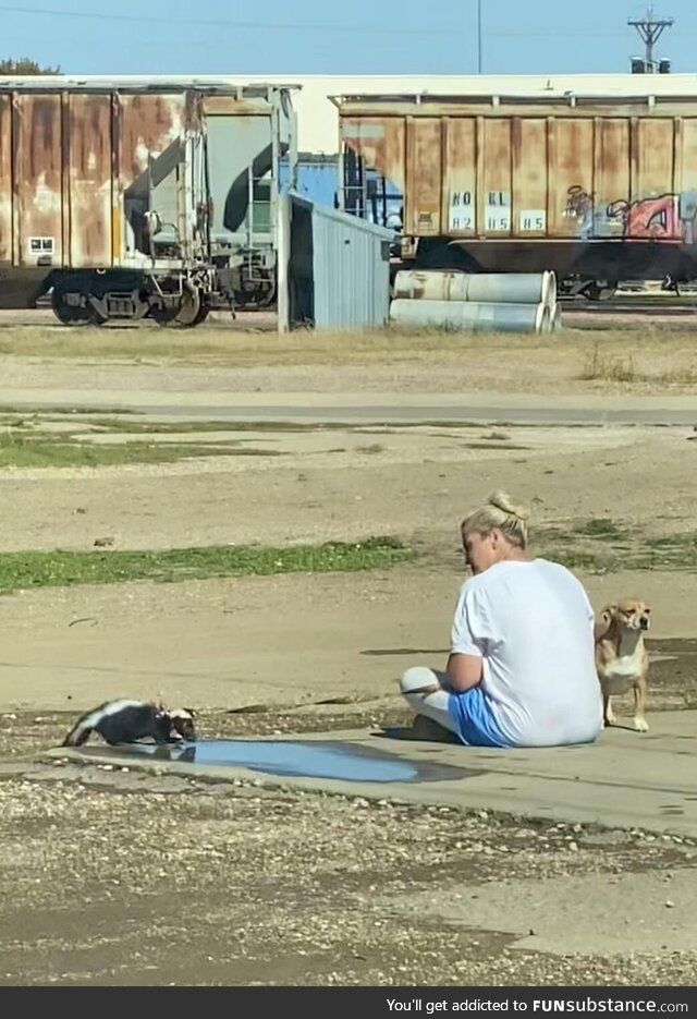 Spotted behind our small town gas station