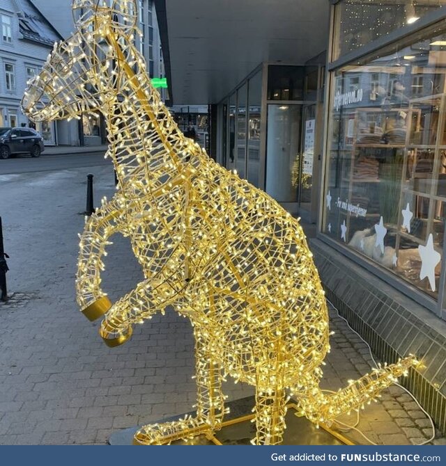 A Norwegian town ordered horse-shaped christmas decor and got this