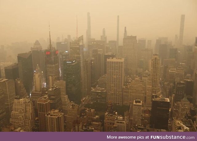 New York, 9 Years after legalizing marijuana