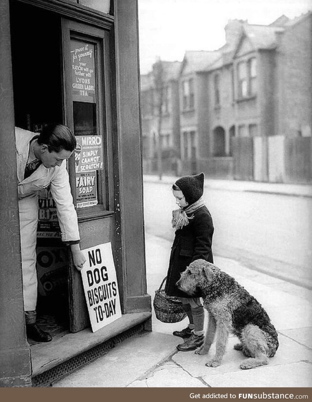 London, 1939. No dog biscuits today