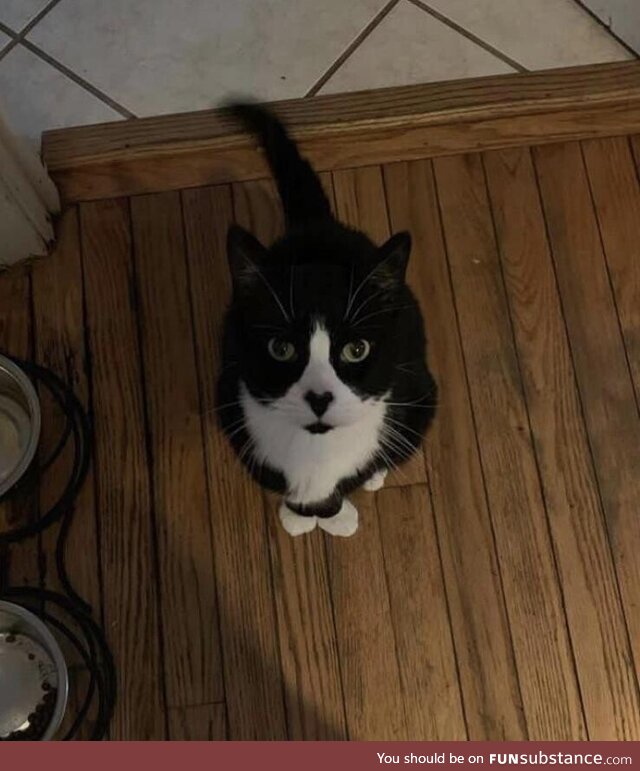 Picasso had a heart shaped nose… (OC)