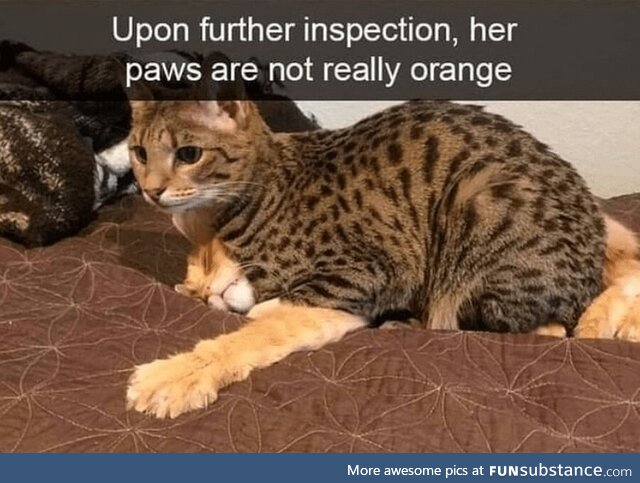 Swift accessible double-blind