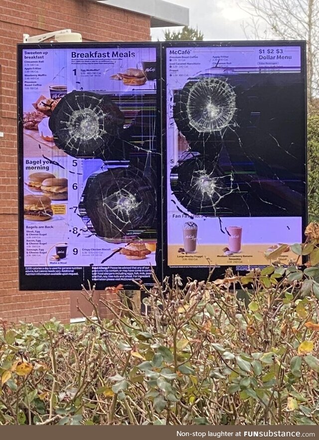 Someone was definitely not loving it