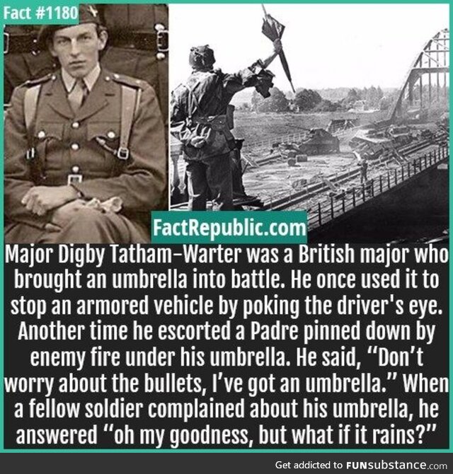 Painstaking cultured prank