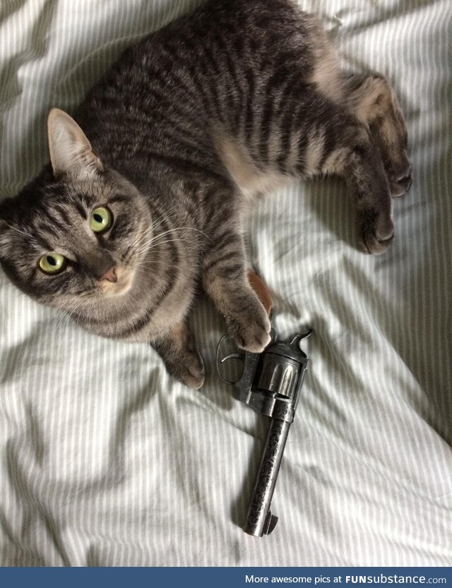 Mess with the mew mew and you get the pew pew