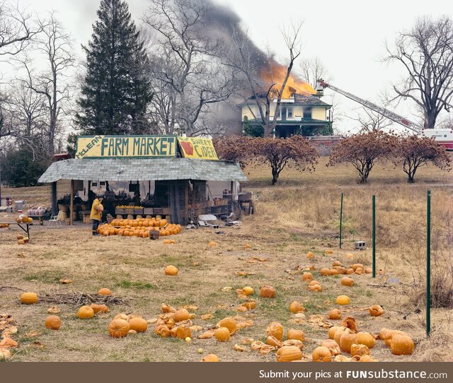 Firefighter purchases a pumpkin on a break from fighting a fire, Joel Sternfeld, Virginia