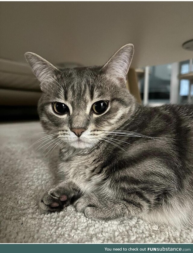 When your bestfriend looks at you