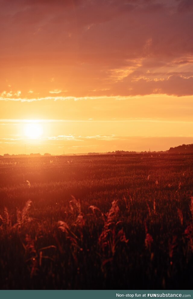 A Field Lit Up by the Evening Glow