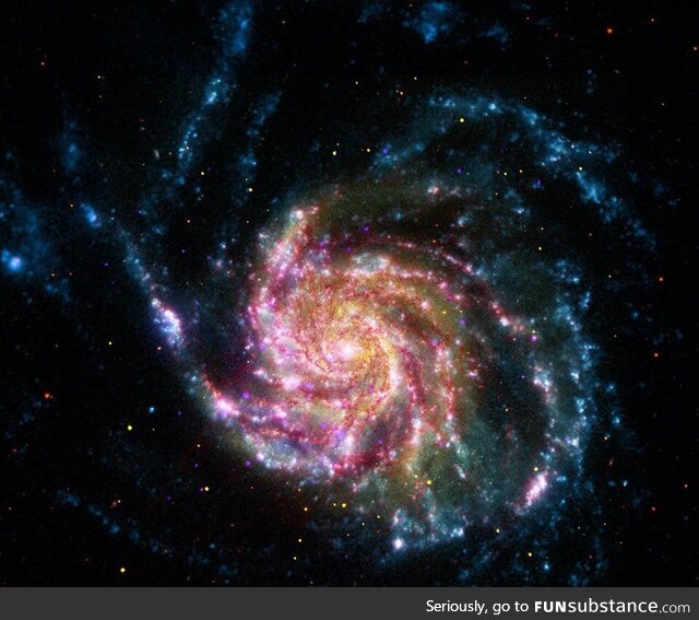 21st Century M101
