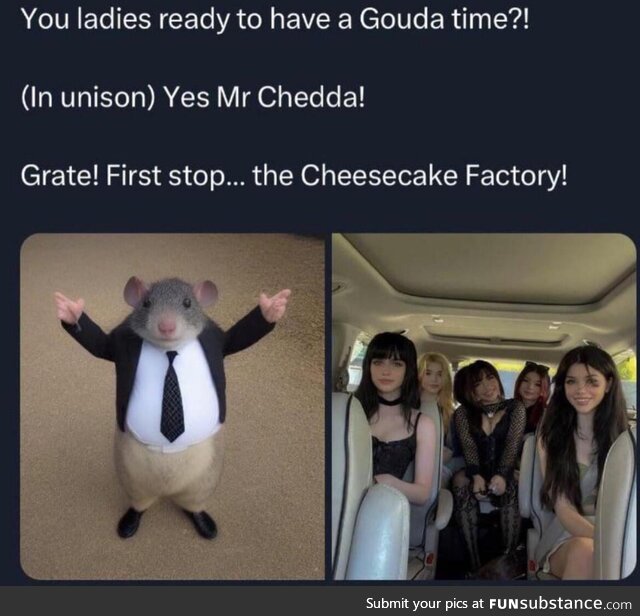 Shy extra-large wicked