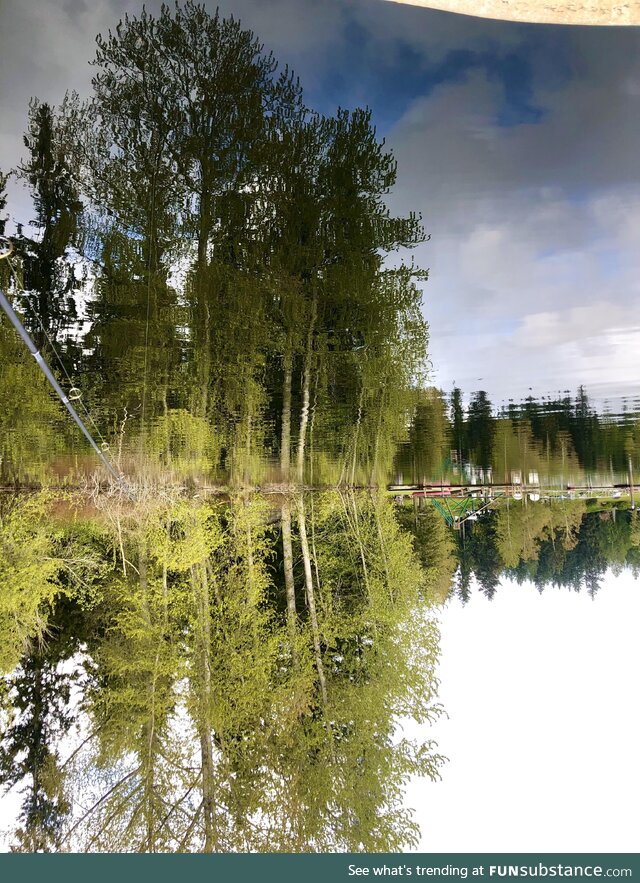 Caught a decent upside down pic while fishing