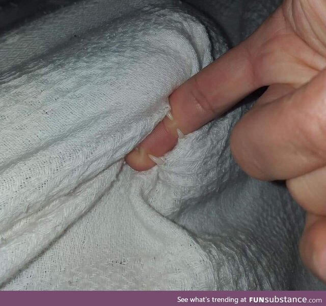 Even blankets get angry