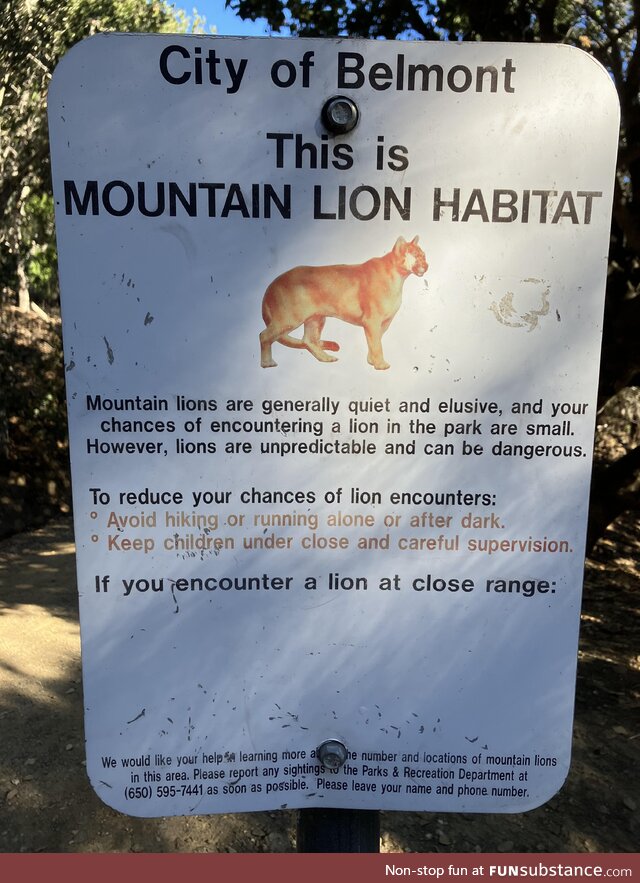 If you encounter a lion at close range: Don’t!