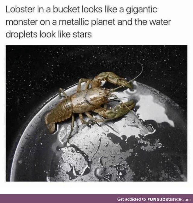 Lobstar, Divine Ruler of Crustaceans and Metal