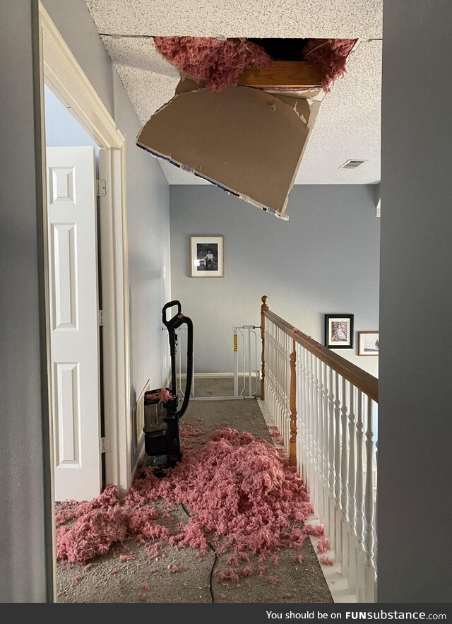 Went into the attic to look for a squirrel and fell through the ceiling