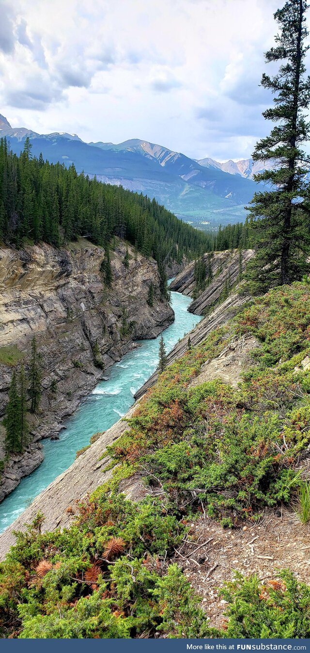 [OC] Hiking up Siffleur Falls in Alberta, Canada this past weekend