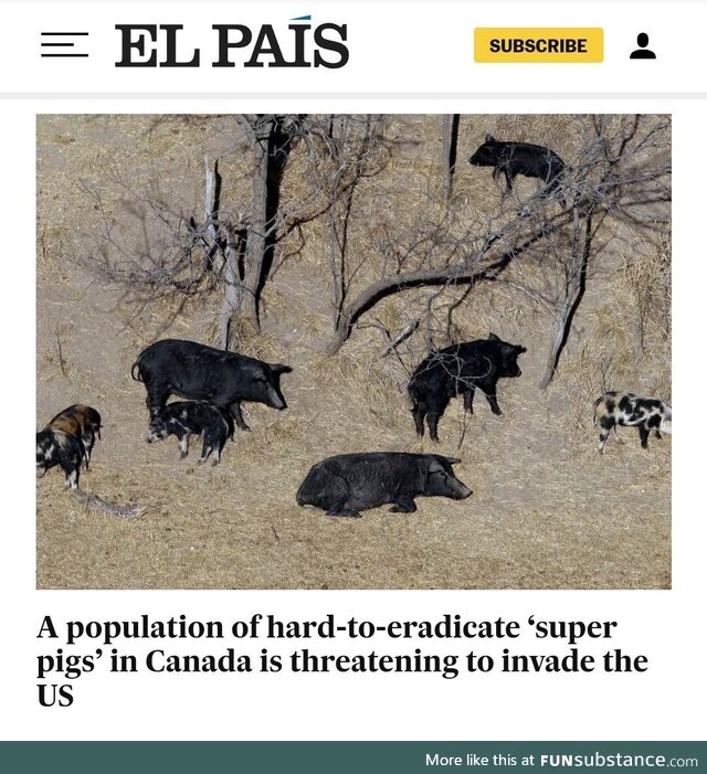 They are coming for the burgers