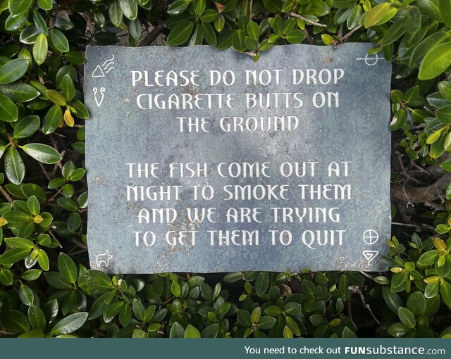 Who doesn’t love smoked fish?