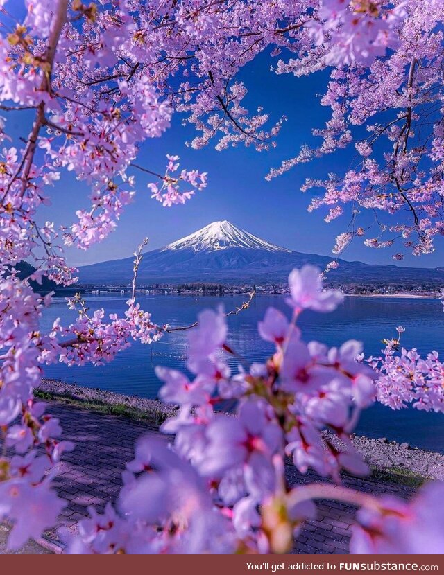 Mount fuji japan