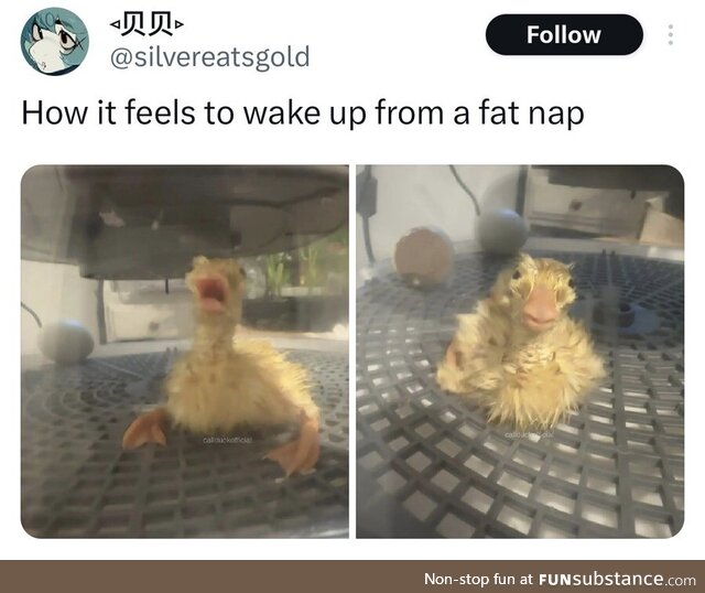 Extra-small addictive nail-biting