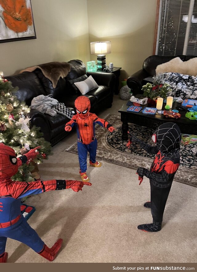 The kids wanted spiderman costumes.. Did not disappoint