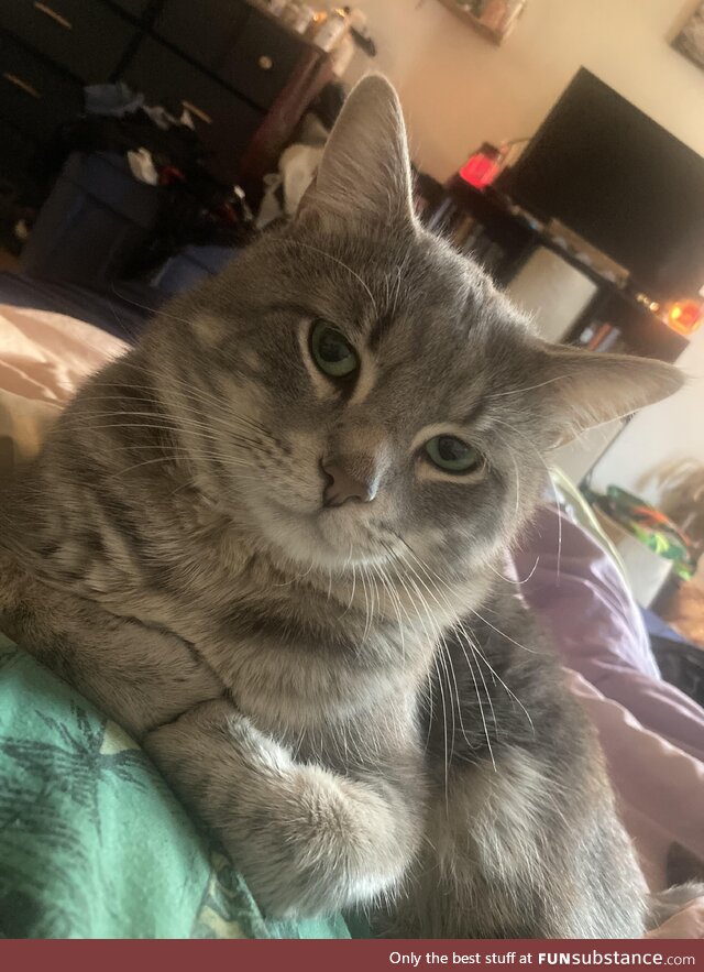 His arms are so perfectly folded