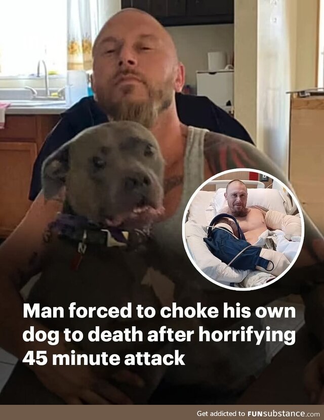 Fluffy had a bad bad