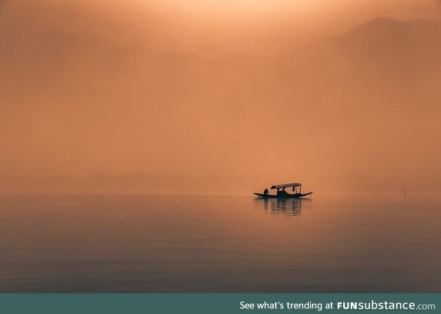 Early morning dal lake, #kashmir